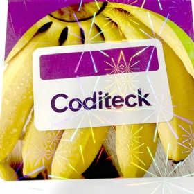 Coditeck Custom Labels with Clear PVC/PET Film Printed Holographic Starburst Graphics